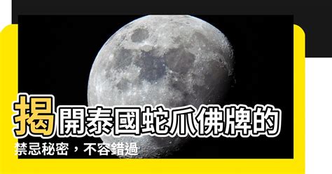 蛇爪禁忌